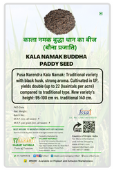 Kala Namak Paddy Seeds for Farming
